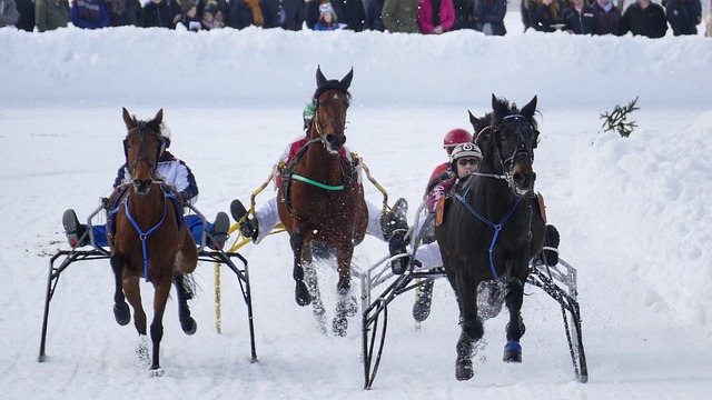 场核心未能 场核心未能