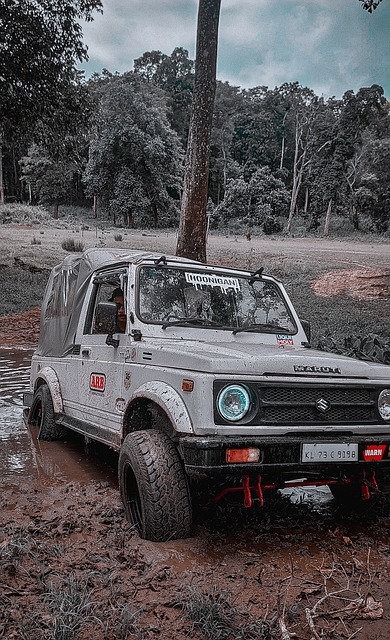 为土耳其队 为土耳其队