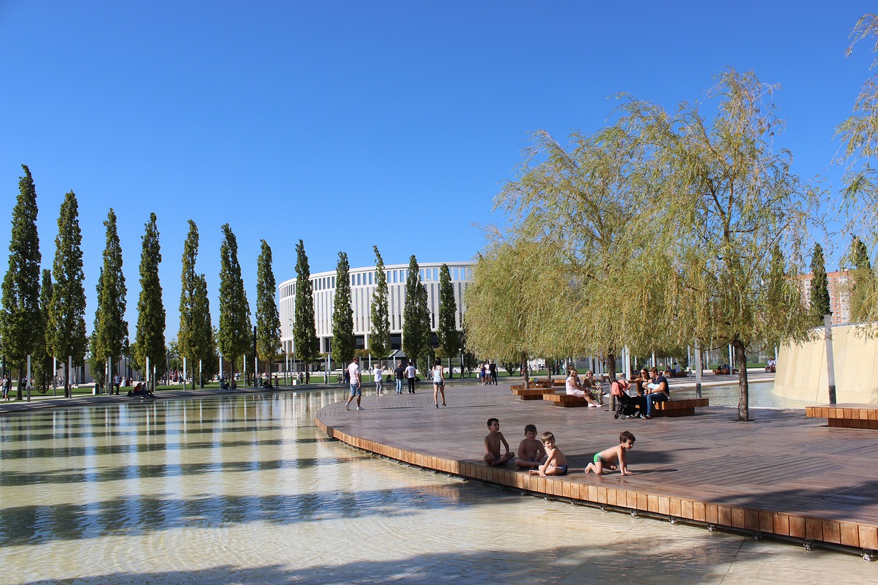 在被老鹰放 在被老鹰放