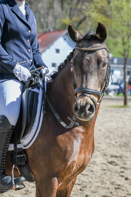 周末开战 周末开战