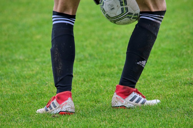 本場比賽的 本場比賽的