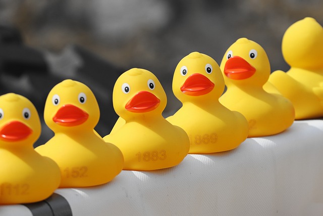 赛事
