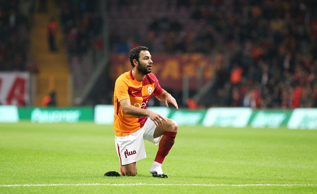 成功地捍卫 成功地捍卫